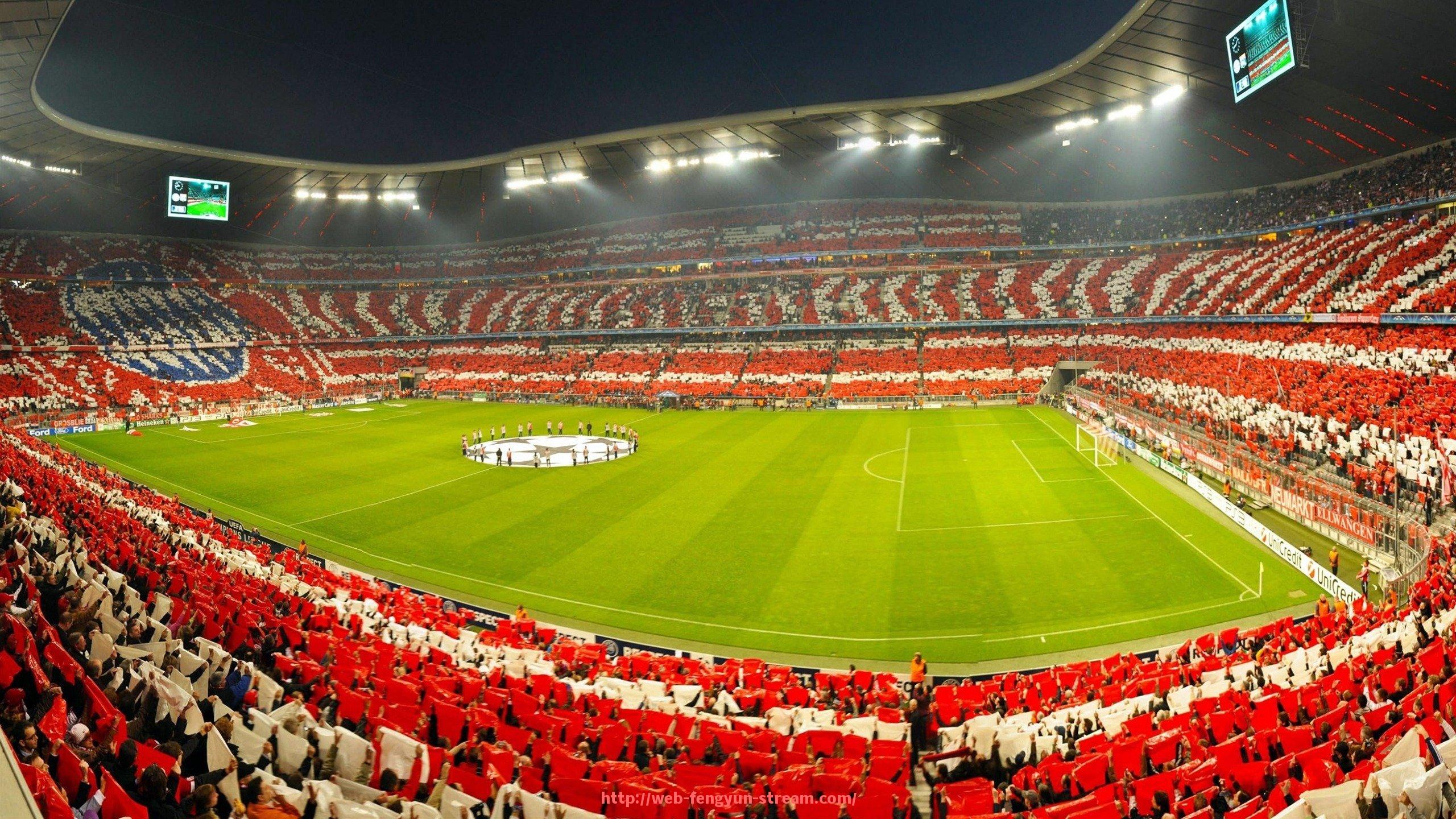 风云直播-健身器材训练方法大全:从入门到进阶的全方位指导